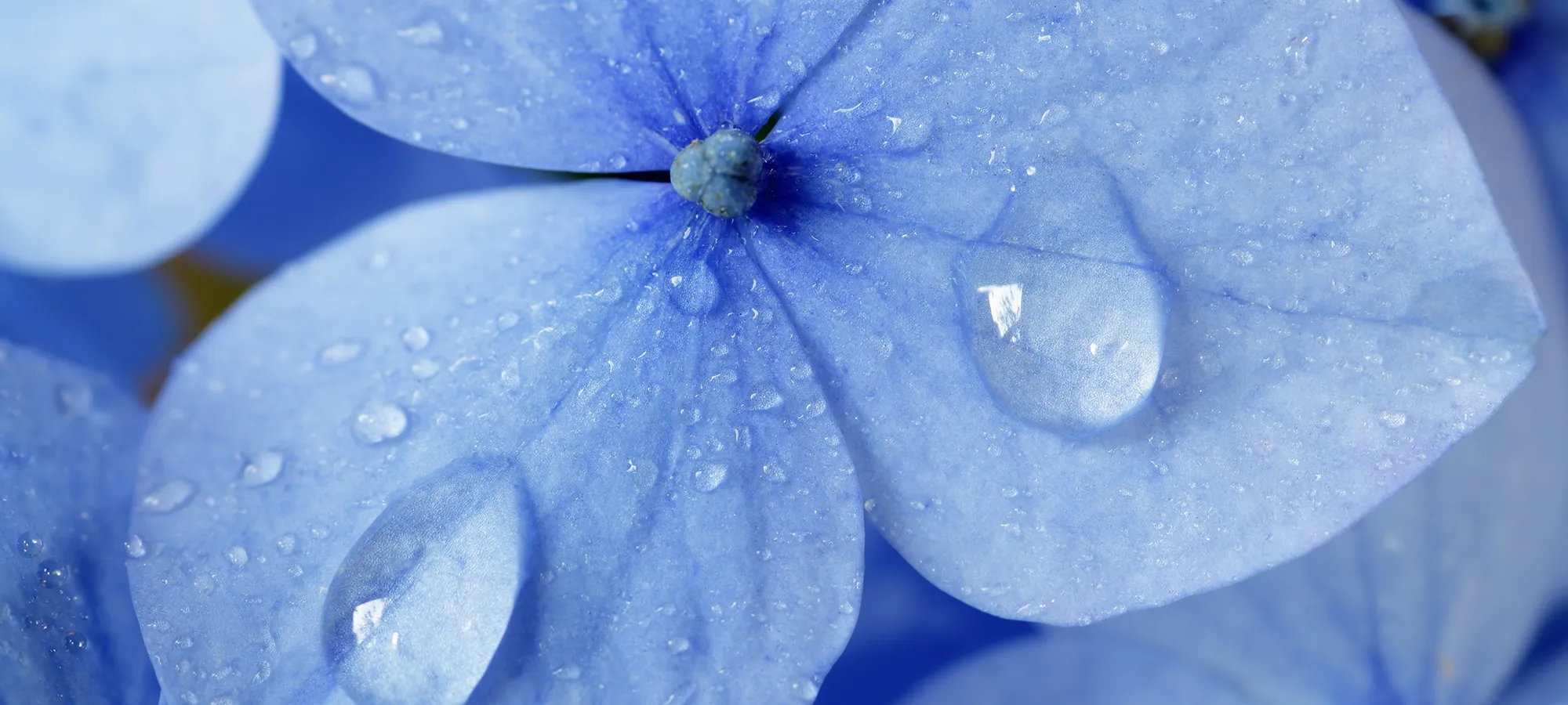 AGUA-EMOTION-SLIDER